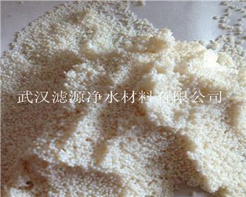 大孔陰樹脂 大孔陰樹脂